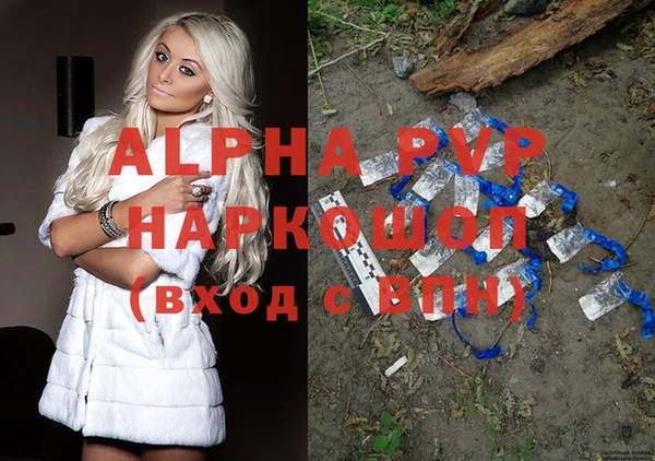 хмурый Дмитров