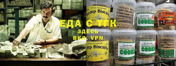 хмурый Дмитров