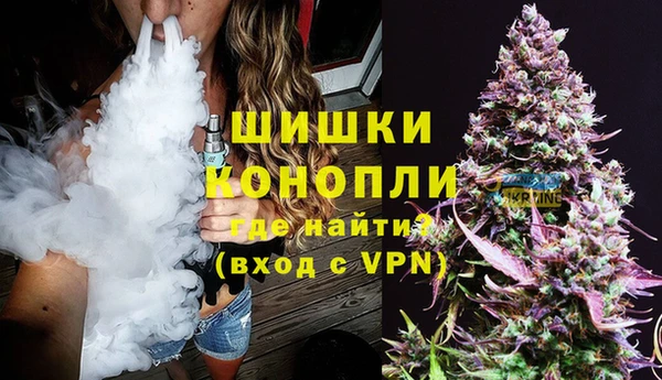 хмурый Дмитров