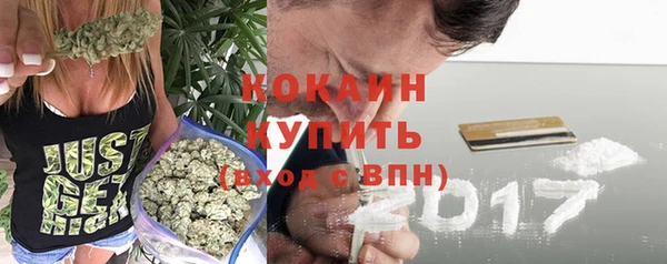 a pvp Дмитровск