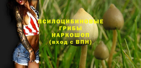 a pvp Дмитровск